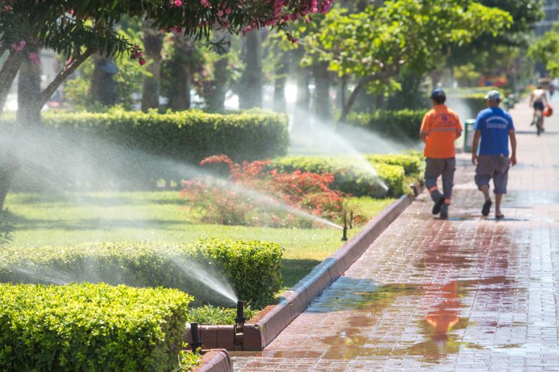 Irrigation Leak Detection