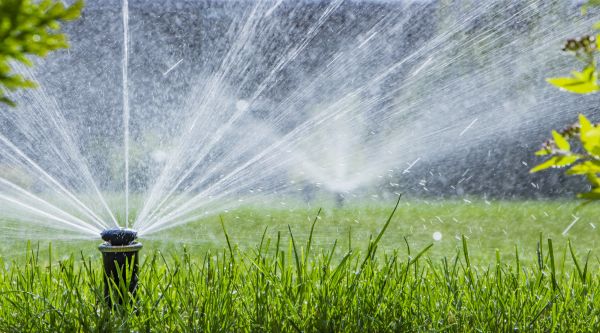 Sprinkler System Inspection