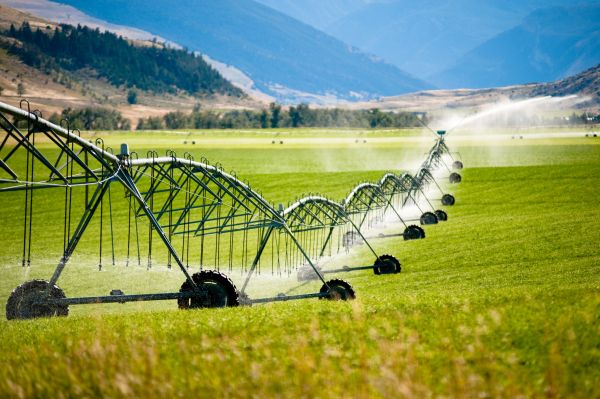 Irrigation System Inspection
