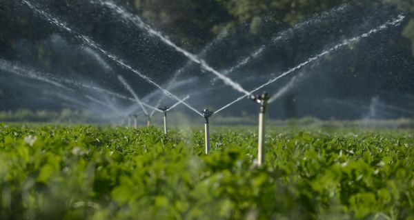 Sprinkler System Assessment