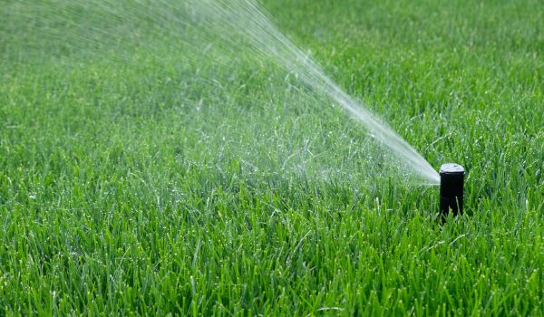 Sprinkler System Evaluation